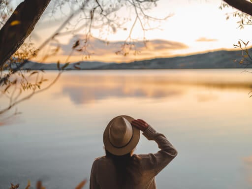 My Signature Program